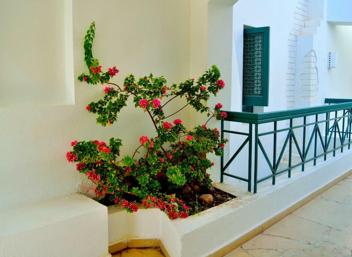 Jaz Neo Naama Bay Hotel Sharm el-Sheikh Bagian luar foto